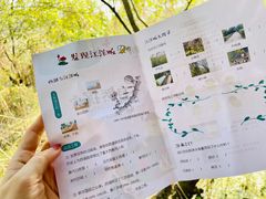 -西湖风景区-江洋畈生态公园