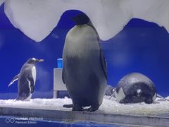 -南京海底世界