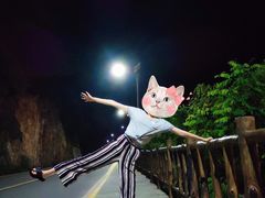 -牛背梁国家森林公园