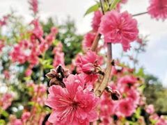 -广州市白云山风景名胜区