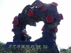-亚龙湾国际玫瑰谷