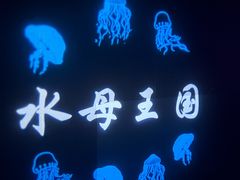-常州海昌海洋探索馆