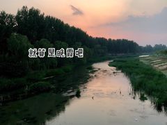 -东郊湿地公园