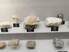 -甘肃地质博物馆