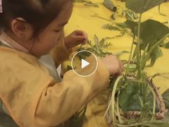 -金宝贝早教(荟聚中心)