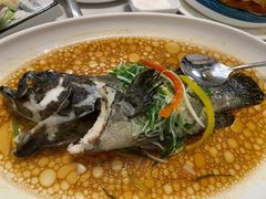 -怀德酒楼·粤菜·海鲜·茶点(宝安国际机场店)