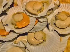 扇贝-杭州国际会议中心洲际酒店-原素全日餐厅(解放东路店)