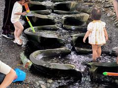 -成都市活水公园