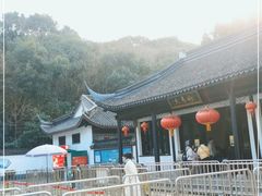 -上海佘山国家森林公园天马山园