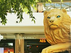 -棕榈MALL