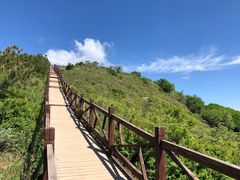 -阳台山自然风景区