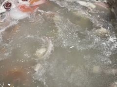 -九府羊鲜羊火锅·烧烤·小海鲜(华汇大厦店)