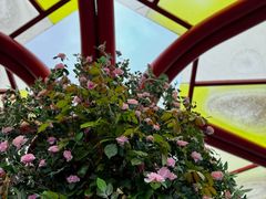 -春花秋色城市公园