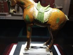 -宁夏博物馆