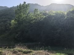 -抱龙峪