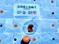 -哈尔滨波塞冬海底世界