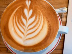 -Elephant Grounds(STARSTREET)