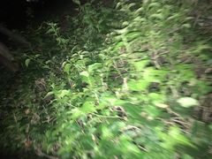 -铁路文化公园