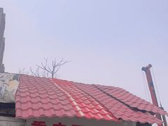 -重庆歪嘴鱼庄(济南模具厂宿舍店)