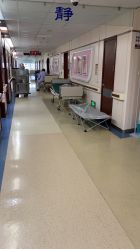 -复旦大学附属妇产科医院(杨浦院区)