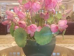 -福建鲤鱼洲酒店