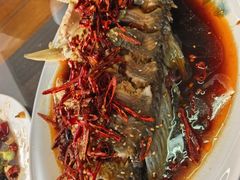 -微山岛春天里酒家