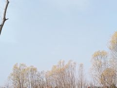 -东郊湿地公园