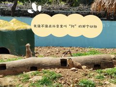 -无锡动物园·太湖欢乐园