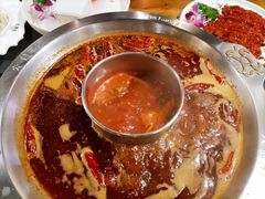 -大龙燚火锅(春熙店)