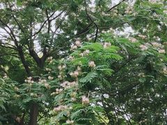 -堤角公园