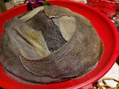 -二荆条·蜀鲜汇城市森林火锅