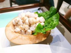 珍珠马蹄-百年果林椰子鸡(中洲店)