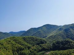 -宁波浙东大竹海景区