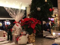 -上海锦江汤臣洲际大酒店壹阶层