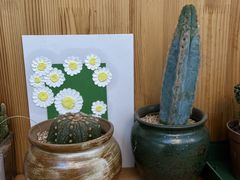 -十一咖啡(青年大街工厂店)