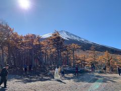 -富士山吉田線五合目