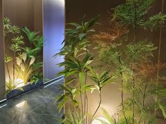 -臻享足道·HIFI影院足疗·泡浴SPA(成华店)