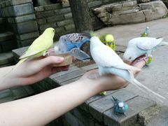 -开元溶洞