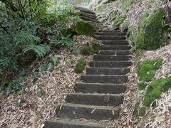 -缙云山景区