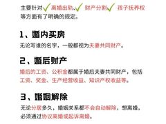 -王丽律师团队·专注婚姻家事(黄浦店)