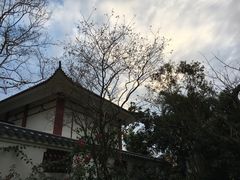 -江门古兜温泉小镇