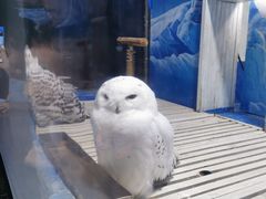 -成都浩海立方海洋公园