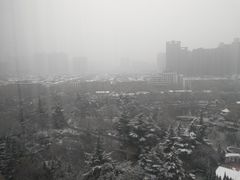 -西苑公园