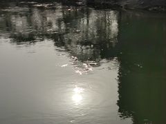 -望江楼公园