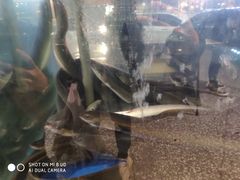 -本炙炭烤·蒲烧活鳗料理店(金沙洲店)