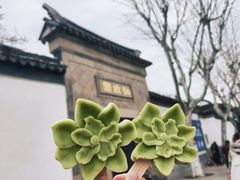 -拙政园