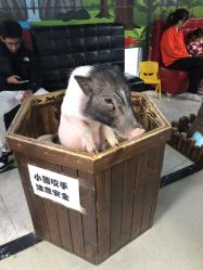 -未来动物城动物主题公园(大悦城店)