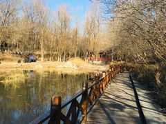 -云岗森林公园