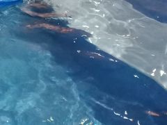 -水晶之星洗浴温泉汗蒸