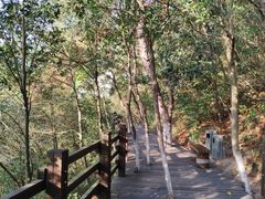 -天目湖山水园
